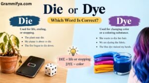 Die or Dye